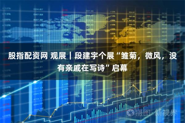 股指配资网 观展｜段建宇个展“雏菊，微风，没有亲戚在写诗”启幕