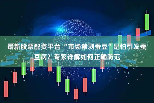 最新股票配资平台 “市场禁剥蚕豆”是怕引发蚕豆病？专家详解如何正确防范
