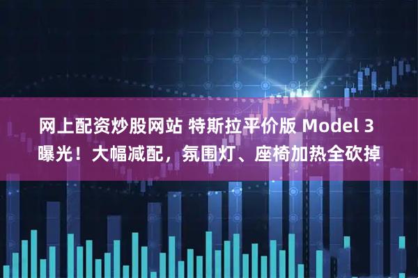 网上配资炒股网站 特斯拉平价版 Model 3 曝光！大幅减配，氛围灯、座椅加热全砍掉