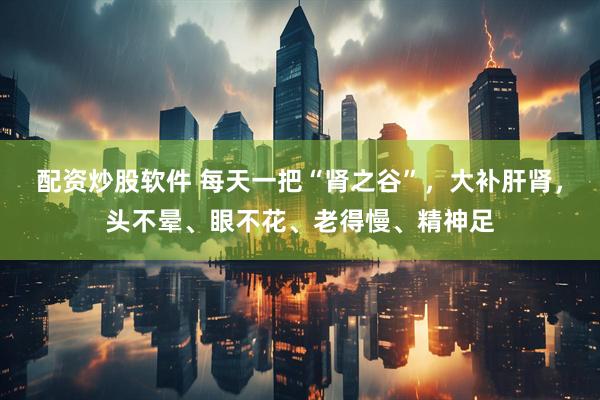 配资炒股软件 每天一把“肾之谷”，大补肝肾，头不晕、眼不花、老得慢、精神足